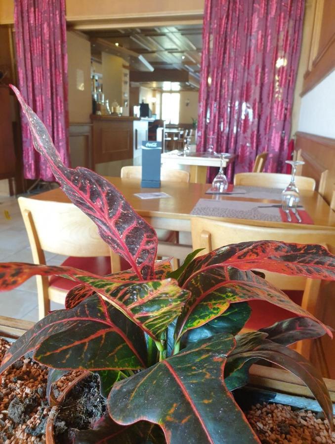 Hotel Lion D'Or Romont エクステリア 写真